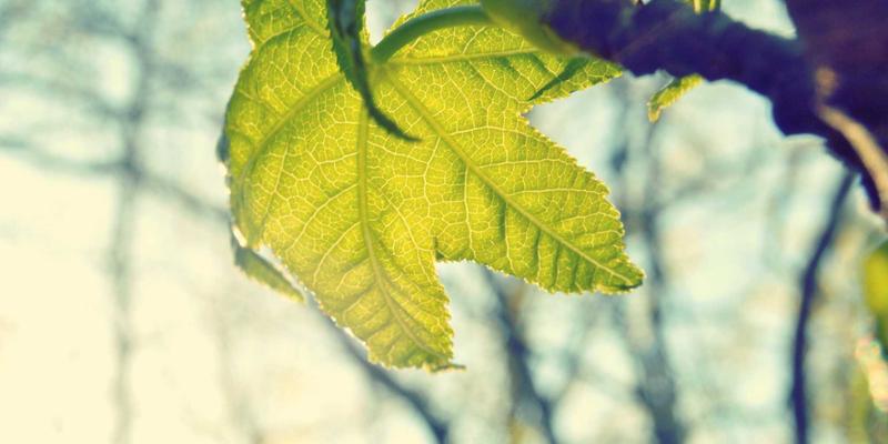 信义成达:以创新文化驱动企业战略,解锁现代管理新范式