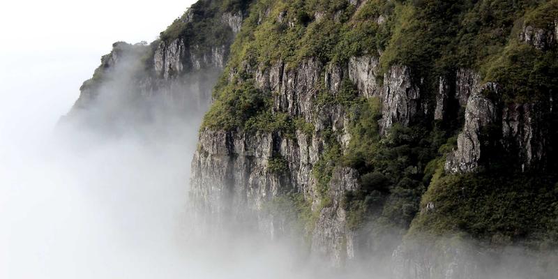 破局之道:信义成达解码企业管理数字化转型的三大路径与核心挑战