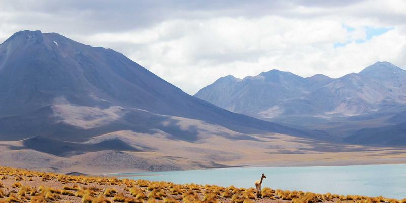 远程办公新常态:企业如何通过运营优化与专业咨询实现管理模式变革