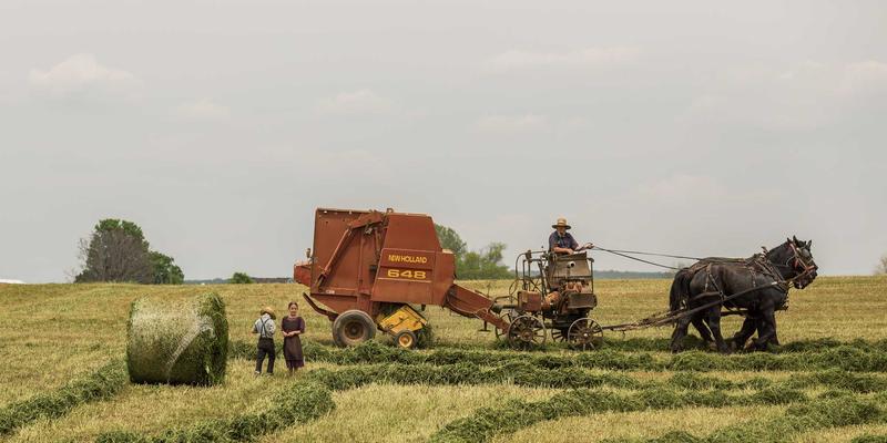 阿米巴经营本土化破局:中国企业如何精准划分核算单元与激活组织活力
