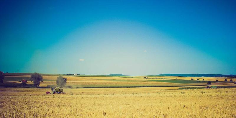 隐形冠军的治理之道：家族企业现代化管理与代际传承的战略规划